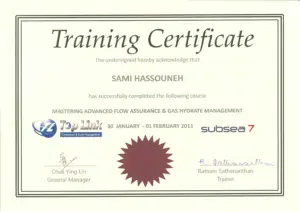 Advanced Flow Assurance (Large)