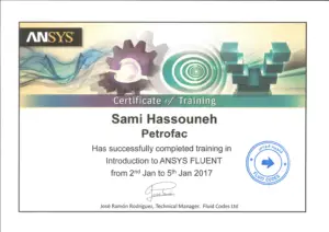 Ansys Fluent (Large)